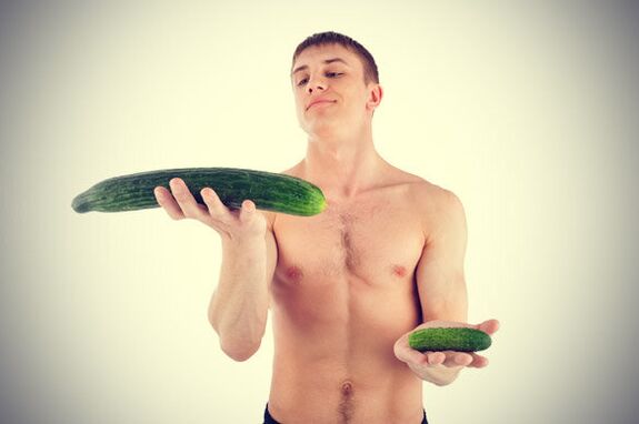 small and enlarged penis on the example of cucumbers