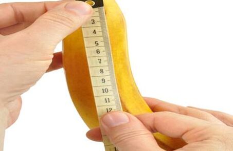 Normal penis size