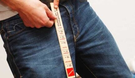 Measuring the size of the penis