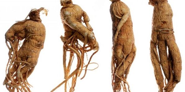 ginseng root to enlarge the penis